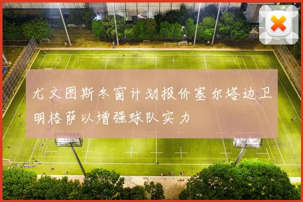 尤文图斯冬窗计划报价塞尔塔边卫明格萨以增强球队实力