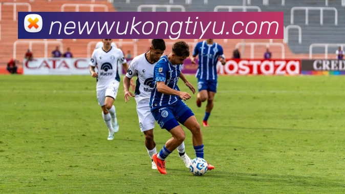 悟空体育平台生态图