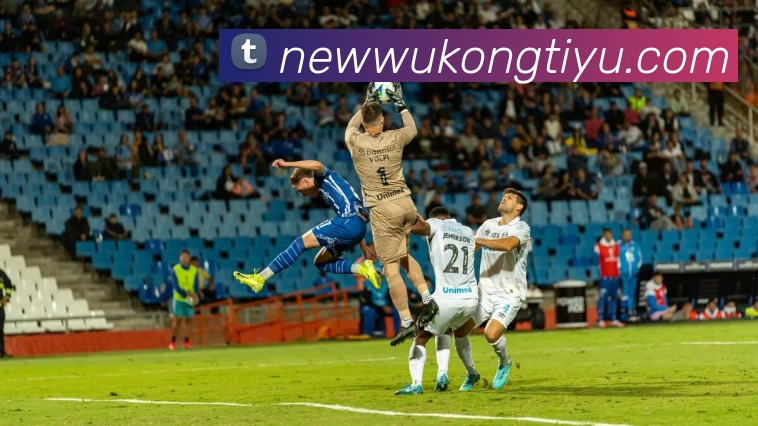 悟空体育APP 封面图